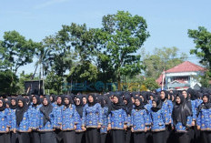 WFH ASN Bengkulu Selatan Berlaku Tiap Jumat, Pengawasan Langsung dari Atasan