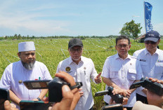 Zulhas Serukan Stop Ketergantungan Impor, Rembuk Tani Bengkulu Fokus Perkuat Petani Lokal