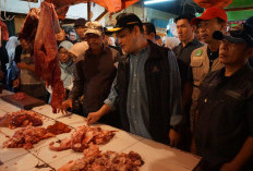Hasil Sidak Pemprov Bengkulu, Harga Ayam Potong Naik Jelang Ramadhan