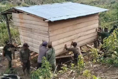 Sasar Habitat Gajah, Satgas Gakkum Lanjutkan Operasi Merah Putih di Mukomuko