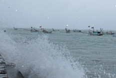 Cuaca Ekstrem Melanda Bengkulu, Waspada Pohon Tumbang, Longsor Hingga Gelombang Laut yang Tinggi