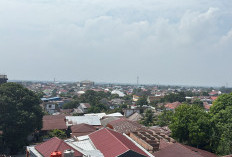 Kemarau Makin Kering, BMKG Imbau Warga Bengkulu Waspadai Kebakaran Lahan dan Hemat Air