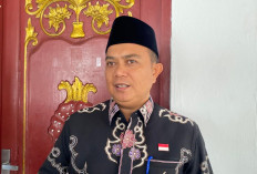 Dari 39 Ribu Pengangguran di Bengkulu, Baru 14 Ribu yang Terserap di Dunia Kerja