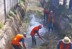 PUPR Kota Bengkulu Bersihkan Drainase Jalan Mawar, Antisipasi Banjir Saat Hujan Deras