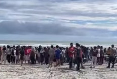 Pelajar SMP Asal Pondok Batu Hilang Terseret Ombak di Pantai Badri Mukomuko