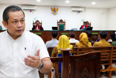 Pouch Resmi MinyaKita Dipakai Repacking Ilegal, Direktur PT Minyaku Bongkar Jalurnya dari Percetakan