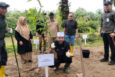 Gubernur Helmi Hasan Larang Sawit di Pinggir Sungai, 50 Meter dari Bibir DAS Wajib Pohon
