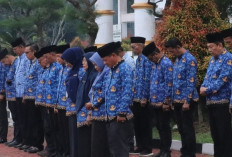 Mutasi Akbar Tinggal Menunggu Rekomendasi BKN, 27 Pejabat Eselon II Mukomuko Terancam Lengser