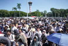 Digaji UMP, Ribuan Fresh Graduate Telah Bekerja Lewat Loker  Magang Nasional 