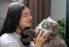 Aneh tapi Nyata, Kenapa Kucing Suka Mendekati Orang yang Takut Padanya?