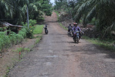 Lima Ruas Jalan di Bengkulu Utara Bakal Dibangun 2026 Mendatang