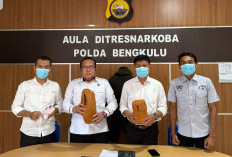 Diduga Hendak Transaksi Ganja 2 Kg, Warga Ratu Samban Ditangkap dan Satu Pria Kabur