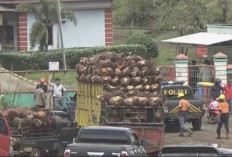 Puluhan Karyawan PT AIP di Seluma Dirumahkan, Perusahaan Hentikan Operasi 31 Maret 2026