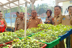 Intip Green House DKP Bengkulu Utara, Wabup Sumarno Ingatkan Bantuan Bibit Jangan Mubazir