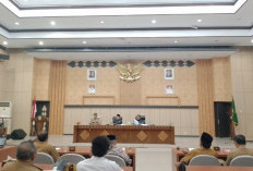 Sasar Daerah 3T, Pelajar Enggano Akan Nikmati Program MBG