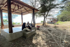 Penataan Pantai Panjang Disambut Positif, Pengunjung dan Pedagang Sepakat Pembangunan Dilanjutkan