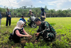 Kodim 0425/Seluma Tanam Pohon dalam Program TMMD ke-128