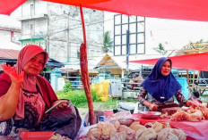 Dinas Ketahanan Pangan Pantau Lonjakan Harga Ayam di Bengkulu Selatan