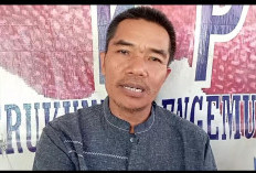 Tertidur di Bus, Remaja 19 Tahun Diduga Jadi Korban Pelecehan oleh Oknum Kernet