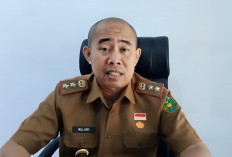 TPI Pondok Besi Disiapkan Jadi Sentra Ikan Kering, Pemkot Bengkulu Perkuat Penataan Kawasan Pantai