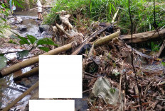 Warga Desa Kelilik Heboh Sore Ini, Jasad Tanpa Identitas Ditemukan Membengkak di Aliran Sungai