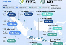 Pembangkit Listrik Tenaga Surya 100 GWp Perkuat Ketahanan Energi Nasional 