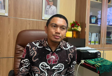 Tiga Jembatan di Kota Bengkulu Bakal Dipasang Lampu Hias dan PJU Diganti LED