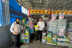 Harga Beras Premium di Bengkulu Tembus di Atas HET, Satgas Pangan Intensifkan Pengawasan