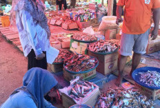 Mukomuko Perkuat Kepercayaan Publik, UPTD Metrologi Gencarkan Tera Ulang dan Edukasi Timbangan Standar di Pas