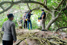 Pemuda Kaur Ditemukan Meninggal Dunia di Pantai Pengubaian
