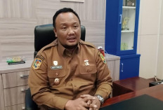 Pemkot Bengkulu Mulai Distribusikan Sapi Kurban ke Berbagai Masjid di Kota Bengkulu