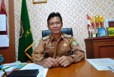 Waspadai Penyakit LSD, Dispertan Kaur Minta Warga Teliti Periksa Sertifikat Kesehatan Hewan Kurban
