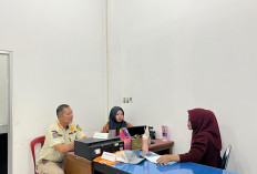 Oknum PNS Akui Tebang Pohon di Pantai Panjang, Disanksi Tanam 25 Cemara