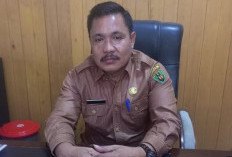 Kuota Pupuk Subsidi Bengkulu Selatan Turun Jadi 6.600 Ton, 15 Ribu Petani Tak Terdata eRDKK