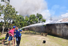 Rumah Warga Talang Benih Ludes Terbakar, Kerugian Capai Rp200 Juta