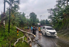  Potensi Puting Beliung Meningkat, Ini Imbauan BPBD Lebong 