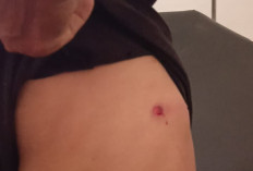 Konflik Agraria PT ABS Memanas, Waka II DPRD Desak Pemda Bengkulu Selatan Segera Ambil Alih