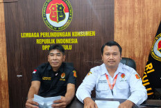 Polda Bengkulu Buka Lagi Kasus Dugaan Pencurian Sawit, Kuasa Hukum Soroti SP3
