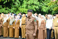 THR ASN Kota Bengkulu Belum Cair, Pemkot Tunggu Petunjuk Teknis dari Pemerintah Pusat