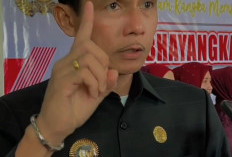 Penegakan Perda Ternak di Kaur Berhasil, 22 Hewan Dilelang Terbuka