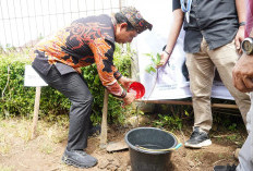GMKI Bengkulu Tanam 1.000 Pohon, Walikota Dedy Hadir Dukung Gerakan Peduli Lingkungan