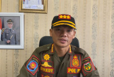 Tak Mempan Sanksi Tipiring, Efredy Gunawan Dorong Revisi Perda Penertiban Hewan Ternak