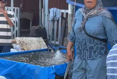 Acungkan Sajam Saat Penertiban, Satpol PP Laporkan Oknum Pedagang ke Polisi