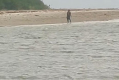 Sampan Karam di Pantai Pasir Putih Bengkulu, Satu Orang Selamat dan Satu Masih Hilang