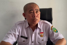 BBI Kota Bengkulu Siapkan Pasokan Ikan untuk SPPG, Lele Jadi Komoditas Utama