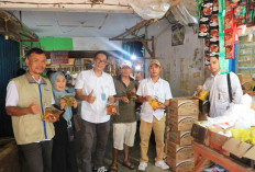 BULOG Bengkulu Pastikan Minyakita Aman di Pasar, Harga Tetap Sesuai HET