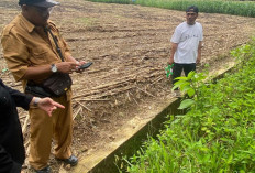   Dugaan Korupsi DD Bandar Agung Terus Didalami, Penyidik Turun Cek Pekerjaan Desa