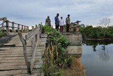 Wali Kota Bengkulu Temui Kepala Bappenas, Usulkan Pembangunan Jembatan Terusan Senilai Rp86 Miliar