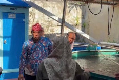 DLH Kota Bengkulu Siapkan Pengembangan Budidaya Magot di Sembilan Kecamatan