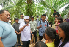 Safari ke Bengkulu Selatan, Helmi Hasan Hadirkan Harapan dan Kebahagiaan Warga